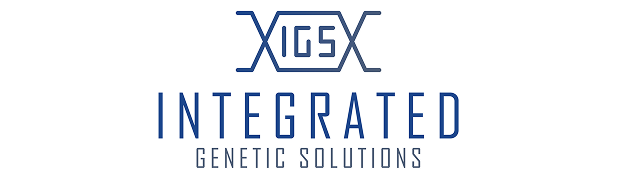 CSSIntegration