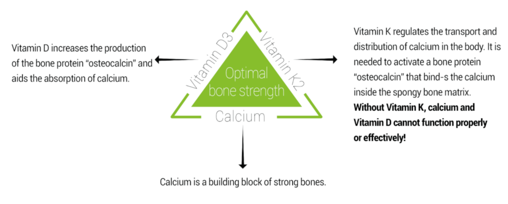The Bone Health Triangle. One of Vitamins K2's benefits is in working together with Vitamin D2 and Calcium to benefit good bone health. 